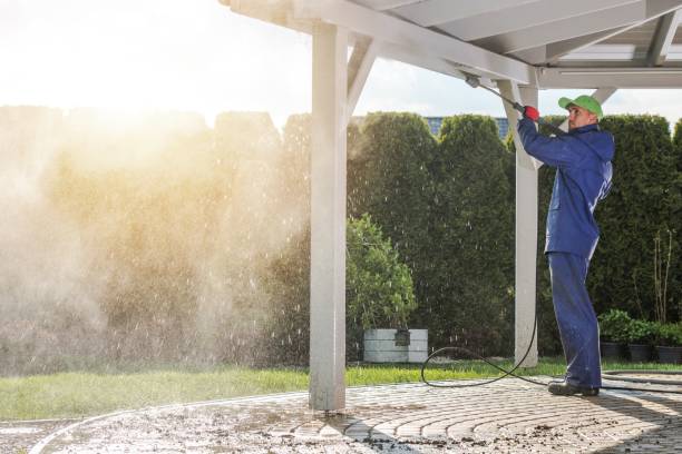 Animal Enclosure Cleaning in La Porte, TX